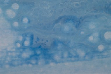 Mermer deniz arka plan. Sıvı akrilik mermer desen