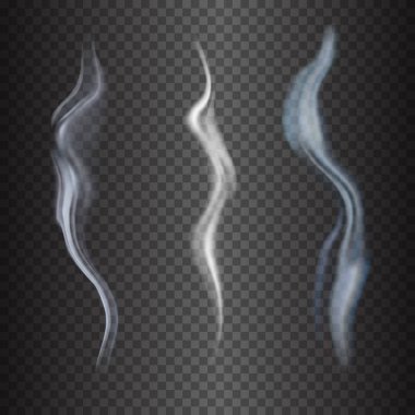 Hassas beyaz sigara dumanı dalgalar üzerinde şeffaf arka plan vektör çizim