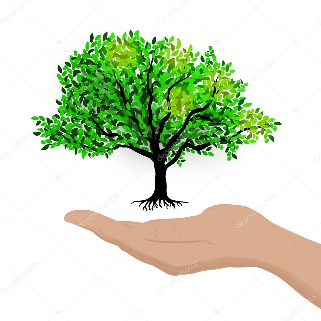 Illustration of realistic human hand holding green small tree. Vector Image for booklets, banners, flayers, article and social media