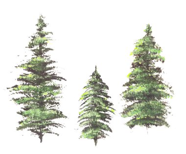 Beyaz arka plan üzerinde izole çizilmiş akrilik canlı çam yeşil ağaçlar el