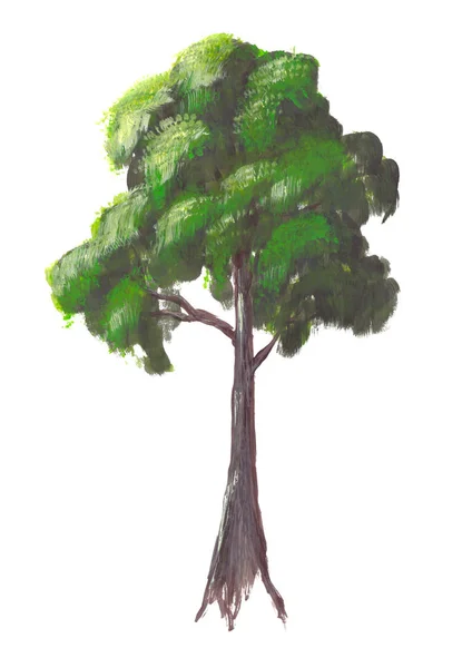 白色背景上孤立的手绘制的压克力的充满活力的夏天的绿色树 — 图库照片
