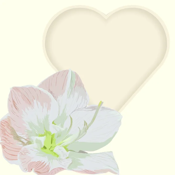 Hand dravn vector realistische lelie bloemen valentines dag kaart met hart — Stockvector