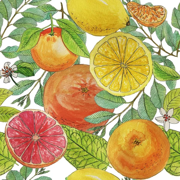 Watercolor summer citrus seamless pattern isolated on white background — Stock Photo, Image