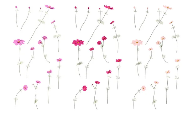 Set van zomerbloemen wilde velden voor wenskaart. Bloeiende bloemen, botanische natuurlijke illustratie op wit in de hand getekende stijl, gelaagde — Stockvector