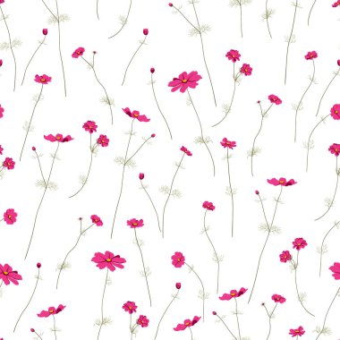 Beyaz arka planda, düzenlenebilir vahşi yaz çiçek ile Seamless Modeli