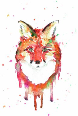 Suluboya fox başkanı