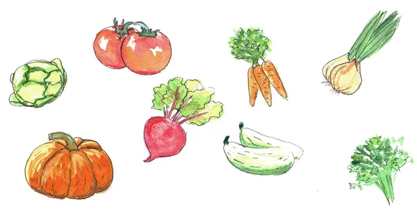 Ensemble Légumes Aquarelle Citrouille Chou Tomates Betterave Courgette Carottes Oignon — Photo