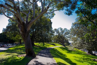 Kraliyet Botanik Bahçeleri