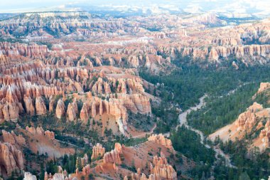 Hoodoos at Bryce Canyon