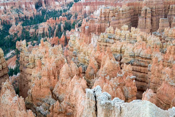 Hoodoos en Bryce Canyon —  Fotos de Stock