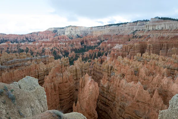 Hoodoos in der Schlucht von Bryce — Stockfoto