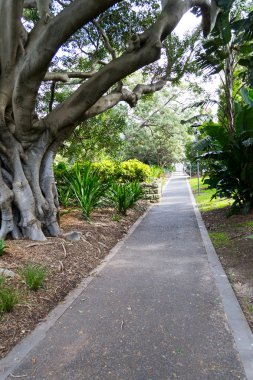 Kraliyet Botanik Bahçeleri içinde yürüyüş