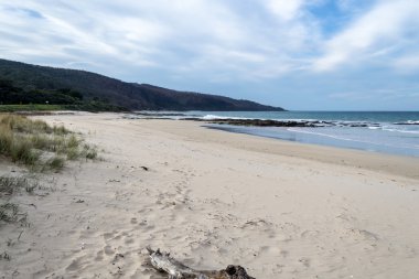Great Ocean Road manzara alanı