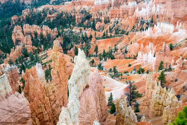 Hoodoos in der Schlucht von Bryce — Stockfoto