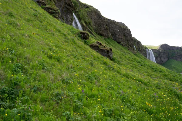 Seljalandsfoss Cachoeira na Islândia — Fotografia de Stock