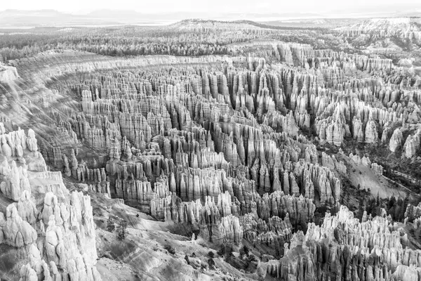 A Bryce Canyon Hoodoos — Stock Fotó