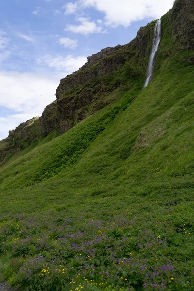 Seljalandsfoss Cachoeira na Islândia — Fotografia de Stock