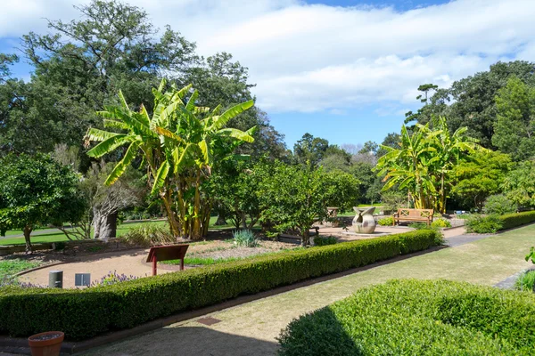 Spaziergänge im königlichen botanischen Garten — Stockfoto