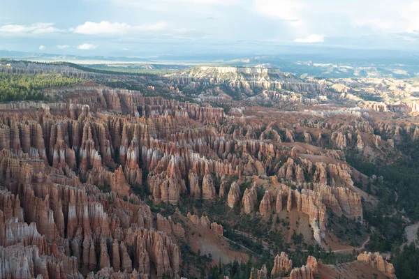 Hoodoos in der Schlucht von Bryce — Stockfoto