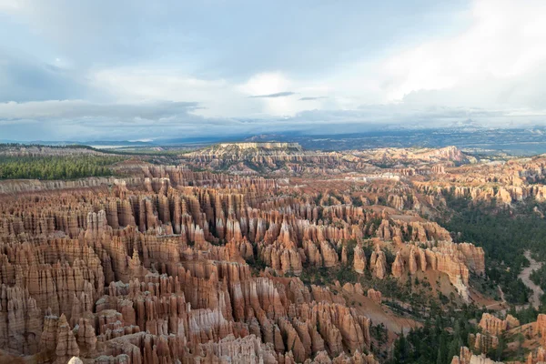 Hoodoos in der Schlucht von Bryce — Stockfoto