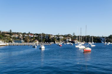 Watsonlar yuvasından Sidney Cbd