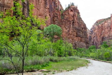 Sinawava tapınakta yürüyüş