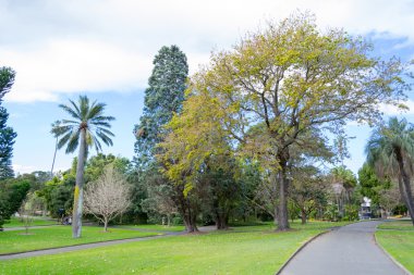 Kraliyet Botanik Bahçeleri içinde yürüyüş