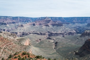 Kaibab deneme azalan