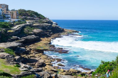 Mackenzies bay Sydney