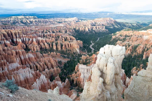 Hoodoos in der Schlucht von Bryce — Stockfoto