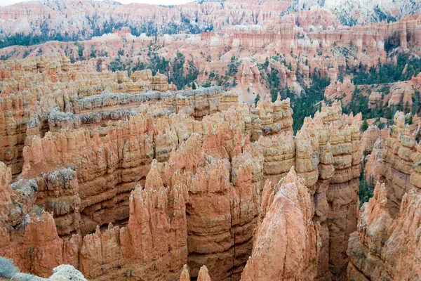 A Bryce Canyon Hoodoos — Stock Fotó