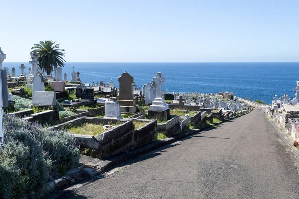 Cimitero di Waverley a Sydney — Foto Stock