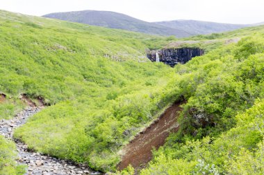 Şelale glaier giderken
