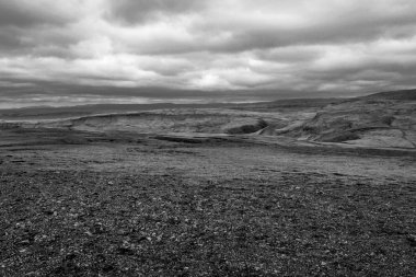 İzlanda'daki Tundra