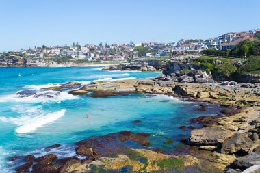 Mackenzies bay Sydney