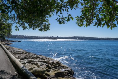 Kraliyet Botanik Bahçeleri