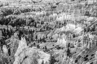 Hoodoos at Bryce Canyon