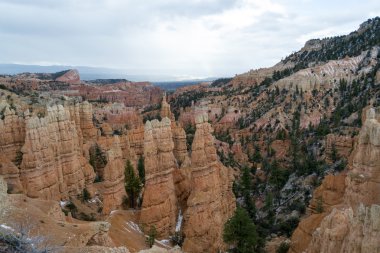 Hoodoos at Bryce Canyon