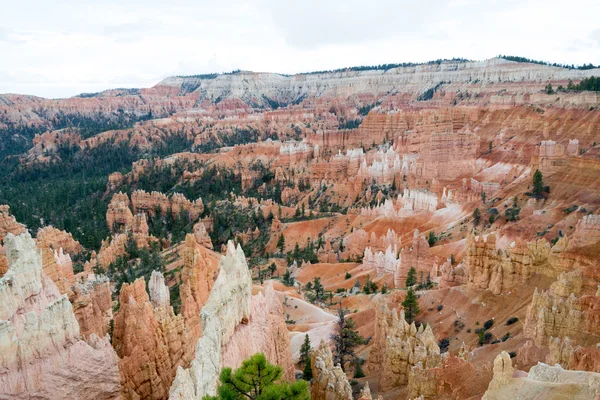 Hoodoos in der Schlucht von Bryce — Stockfoto