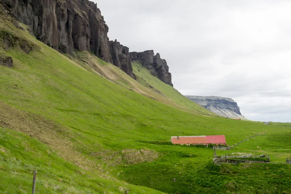 아이슬란드에는 툰드라 — 스톡 사진
