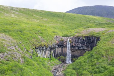 Şelale glaier giderken