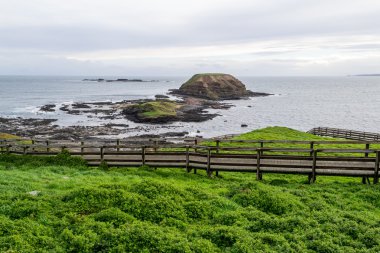 Phillip Island Nobbies