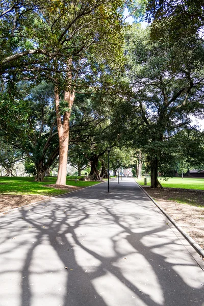 Hyde Park in Sydney — Stockfoto