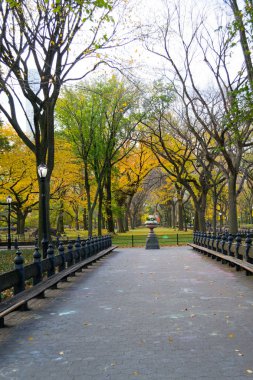 Central Park'ta Amerikan elms gölgelik