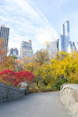 Bir sonbahar sabah Central Park'tan Midtown