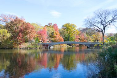 Central Park'ta yay köprü düşüş sırasında