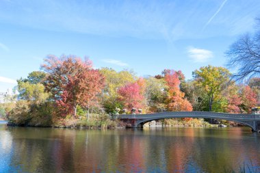Central Park'ta yay köprü düşüş sırasında