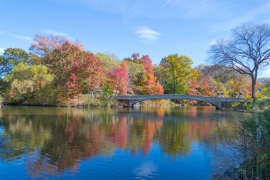 Central Park'ta yay köprü düşüş sırasında
