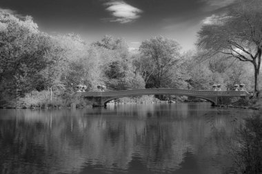 Central Park'ta yay köprü düşüş sırasında