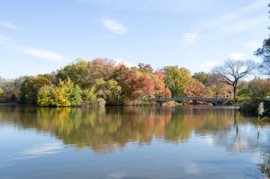 Central Park'ta yay köprü düşüş sırasında